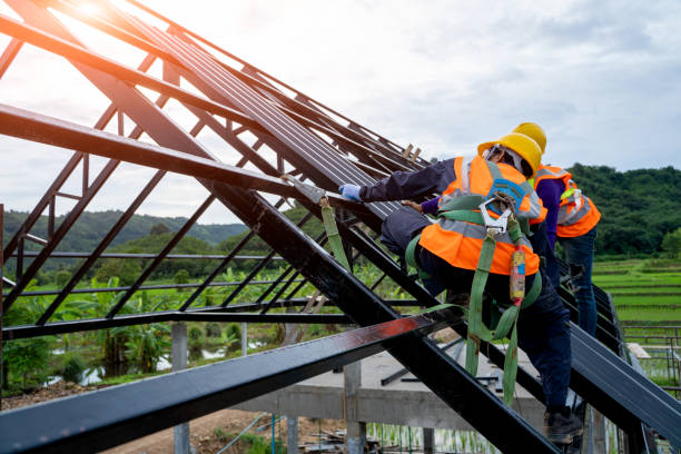 Best Roof Repair Services  in Glencoe, MN
