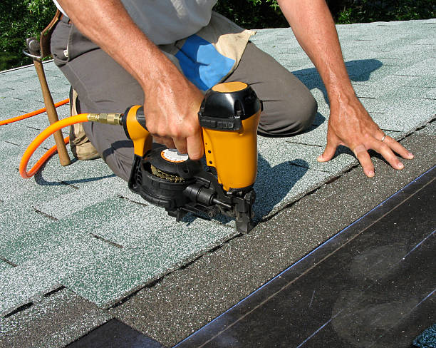 Best Roof Maintenance Services  in Glencoe, MN