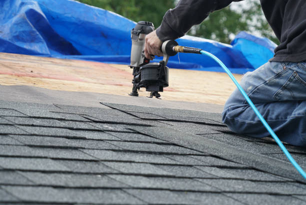 Best Roof Leak Repair  in Glencoe, MN